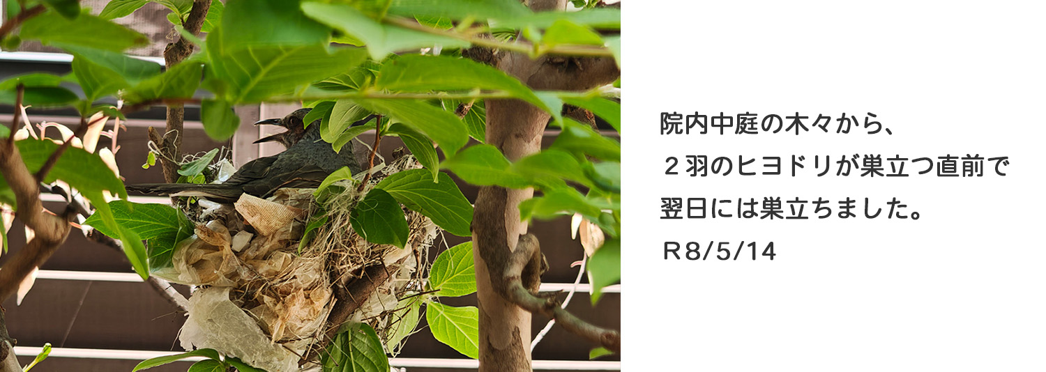 保志条クリニック